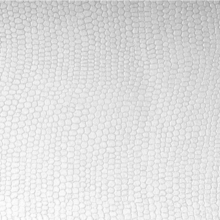 CONSTELLATION JADE, E53 Lizard - Großbogen 70 x 100 cm