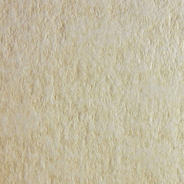 Conchiglia
